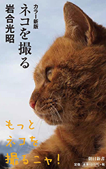 カラー新版 ネコを撮る