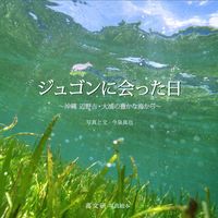 ジュゴンに会った日　沖縄 辺野古・大浦の豊かな海から
