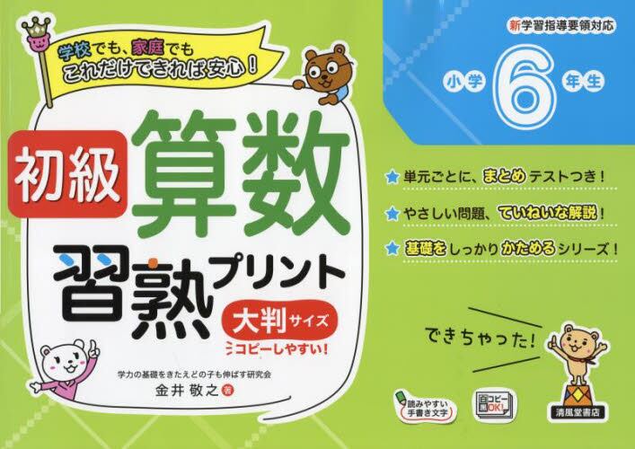 初級算数習熟プリント　小学６年生　大判サイズ